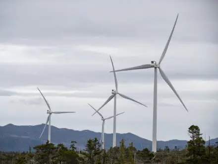 Clean Tech - Trang trại gió ở Cape Scott