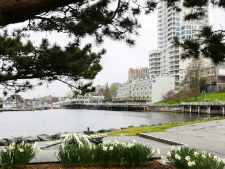 Nanaimo, BC - Trung tâm thành phố