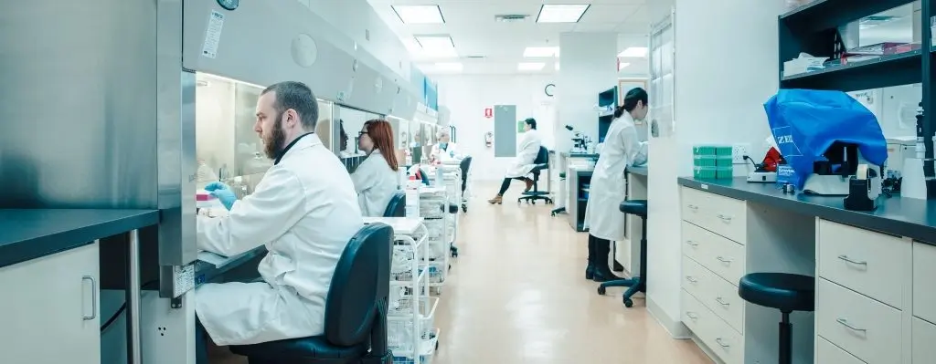 Các nhà nghiên cứu tế bào gốc trong phòng thí nghiệm