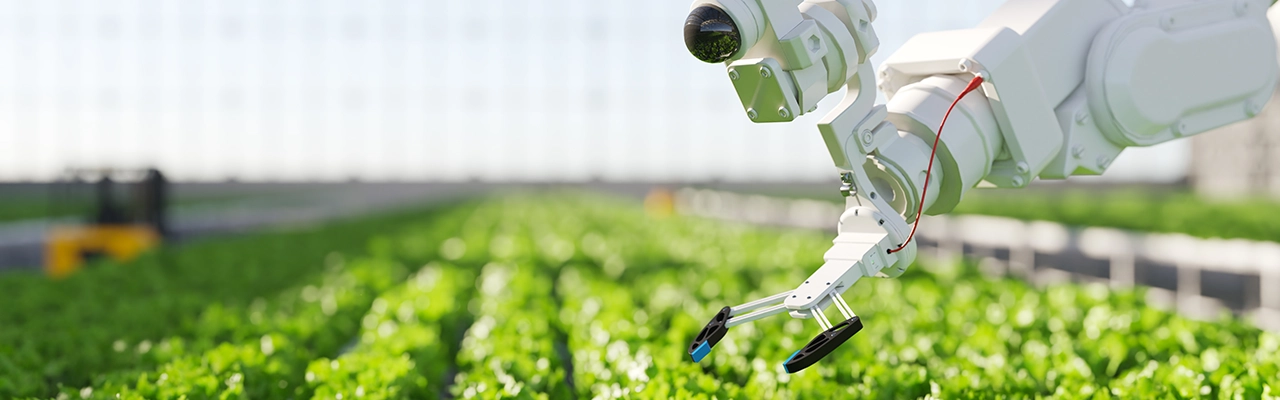 Nông nghiệp thông minh - khái niệm công nghệ robot trang trại